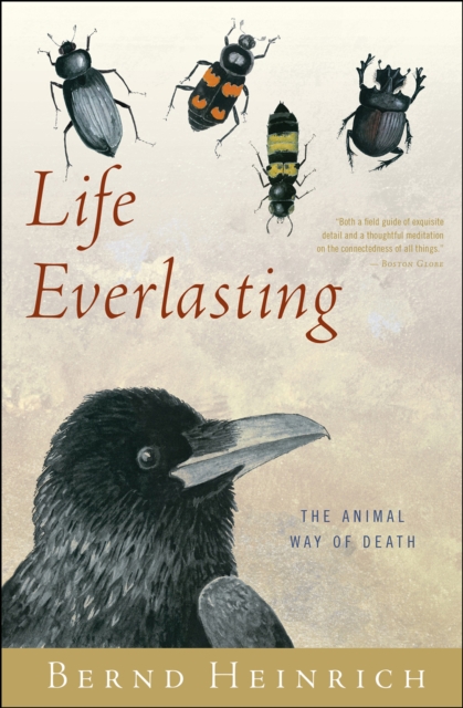 Life Everlasting : The Animal Way of Death, EPUB eBook