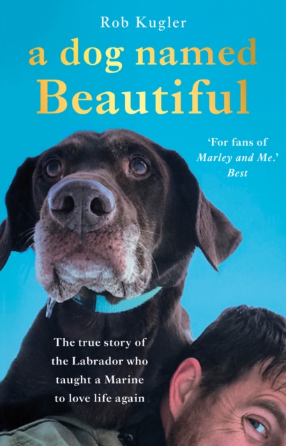 A Dog Named Beautiful : The true story of the Labrador who taught a Marine to love life again, Paperback / softback Book