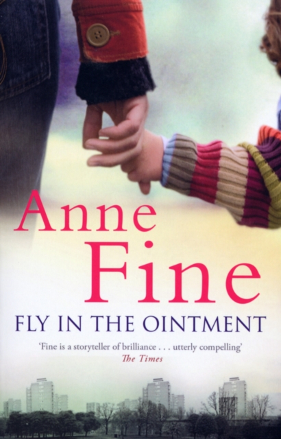 Fly in the Ointment, Paperback / softback Book