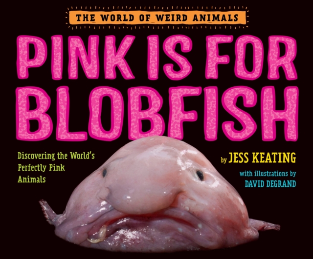 Pink Is For Blobfish : Discovering the World's Perfectly Pink Animals, Hardback Book