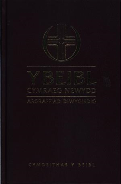 Y Beibl Cymraeg Newydd, Leather / fine binding Book