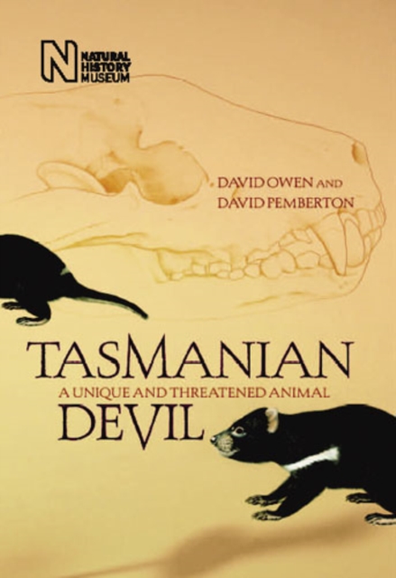 Tasmanian Devil : A Unique and Threatened Animal, Hardback Book