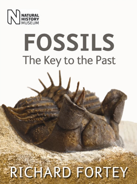 Fossils : The Key to the Past, Hardback Book