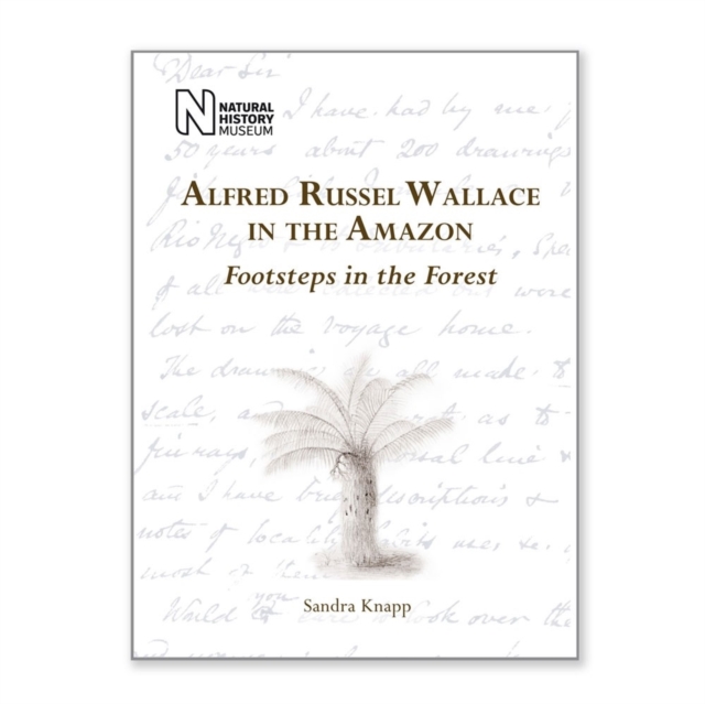 Alfred Russel Wallace in the Amazon : Footsteps in the Forest, Paperback / softback Book