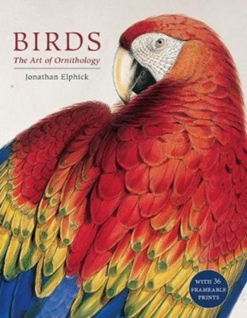 Birds : The Art of Ornithology (Boxed Set), Mixed media product Book
