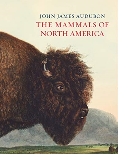 The Mammals of North America, Hardback Book