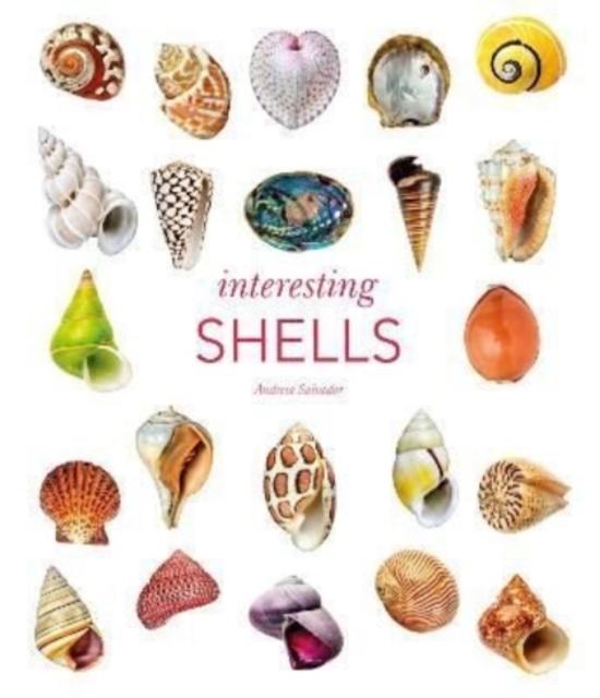 Interesting Shells, Hardback Book