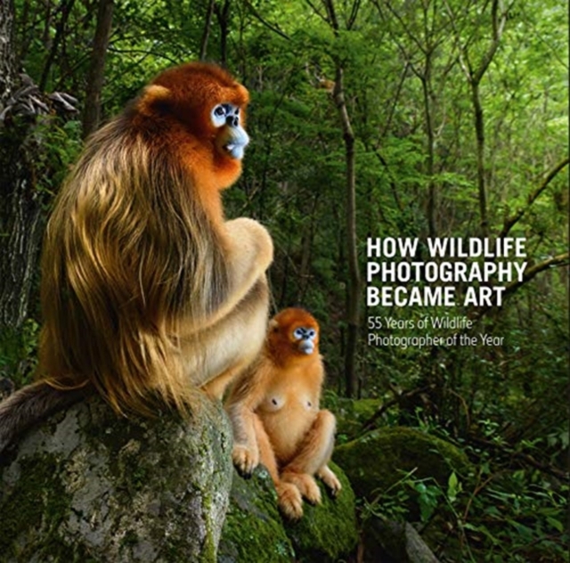 How Wildlife Photography Became Art : 55 Years of Wildlife Photographer of the Year, Hardback Book