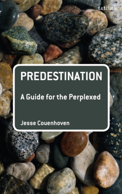 Predestination: A Guide for the Perplexed, Paperback / softback Book