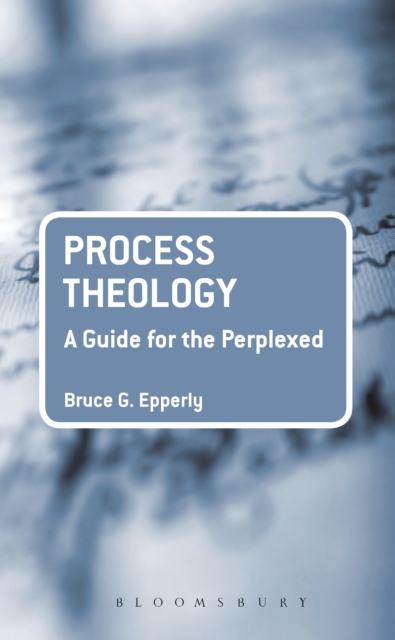 Process Theology: A Guide for the Perplexed, PDF eBook