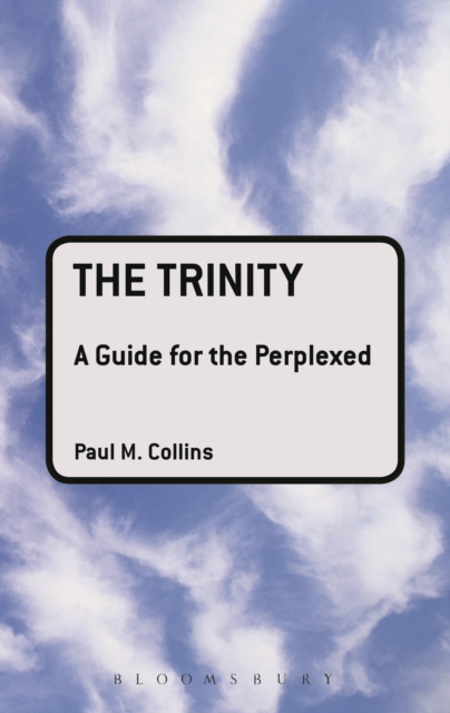 The Trinity: A Guide for the Perplexed, PDF eBook