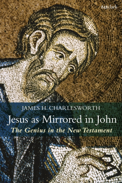 Jesus as Mirrored in John : The Genius in the New Testament, Hardback Book