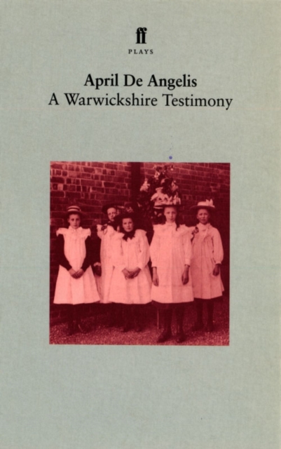 A Warwickshire Testimony, Paperback / softback Book