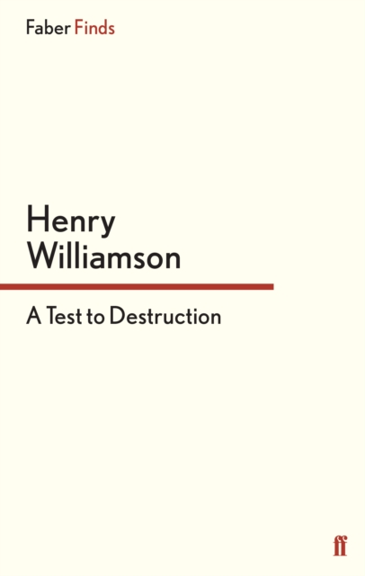 A Test to Destruction, Paperback / softback Book