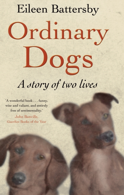 Ordinary Dogs, Paperback / softback Book