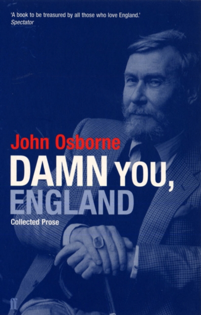 Damn You England : Collected Prose, EPUB eBook