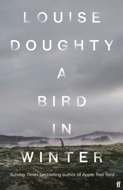 A Bird in Winter : 'Nail-bitingly tense and compelling' Paula Hawkins, Hardback Book