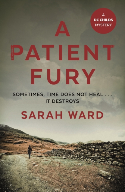 A Patient Fury, Hardback Book
