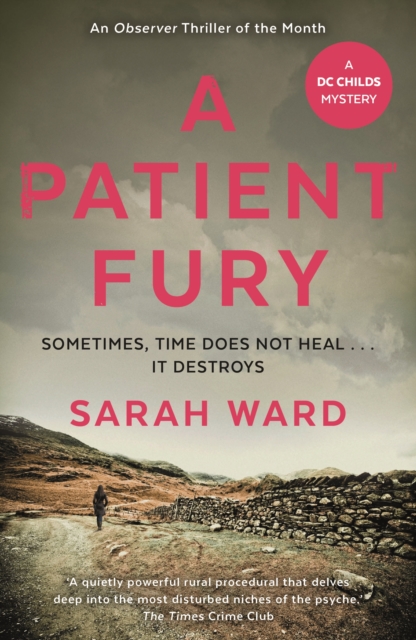 A Patient Fury, EPUB eBook