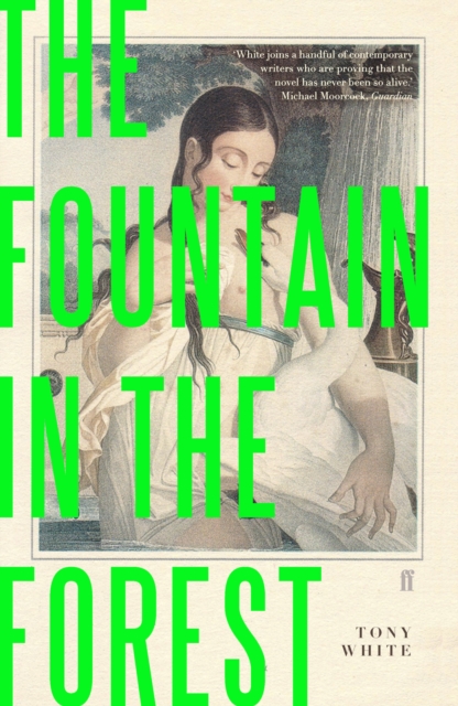 The Fountain in the Forest, Paperback / softback Book