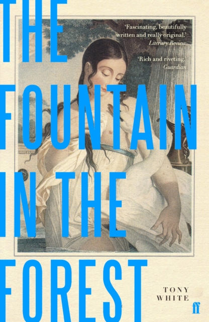 The Fountain in the Forest, EPUB eBook