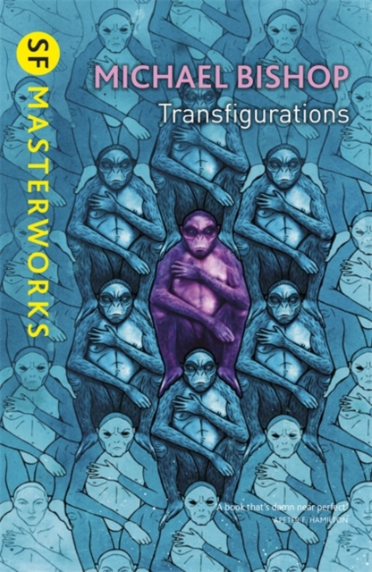 Transfigurations, EPUB eBook