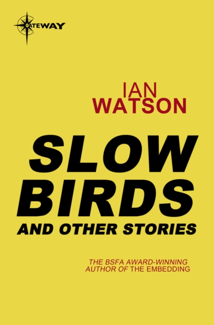 Slow Birds: And Other Stories, EPUB eBook