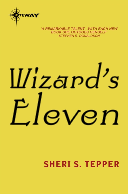 Wizard's Eleven, EPUB eBook