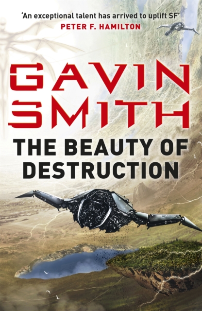 The Beauty of Destruction, Paperback / softback Book