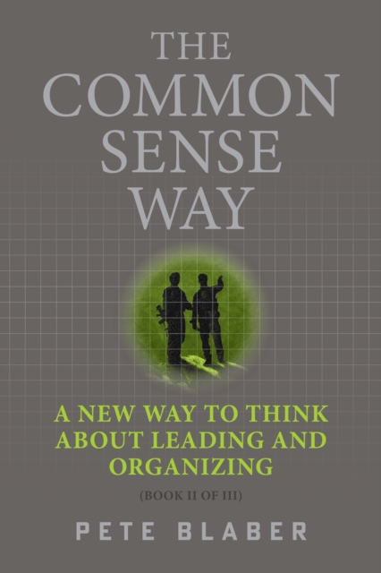 Common Sense Way, EPUB eBook