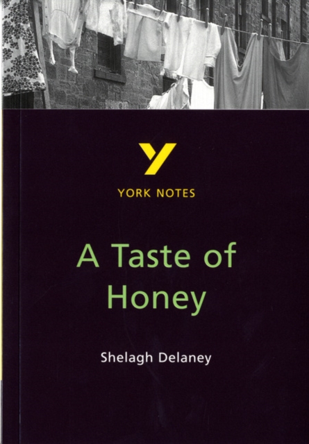A Taste of Honey everything you need to catch up, study and prepare for and 2023 and 2024 exams and assessments, Paperback / softback Book