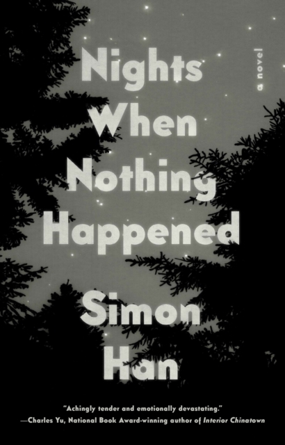 Nights When Nothing Happened, EPUB eBook