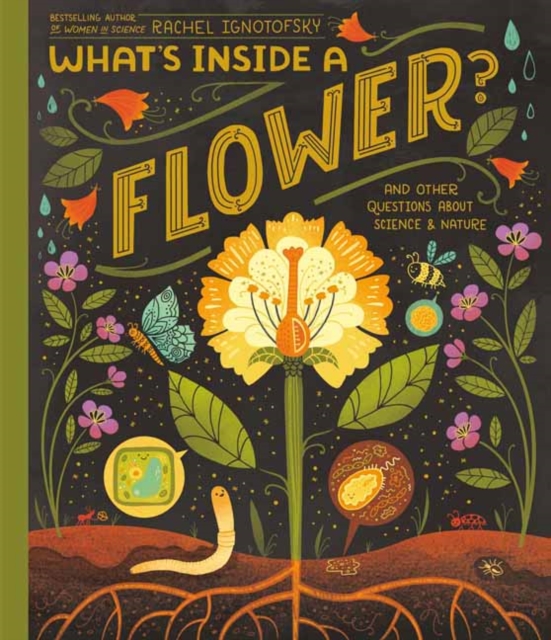 What's Inside A Flower? : And Other Questions About Science & Nature, Paperback / softback Book