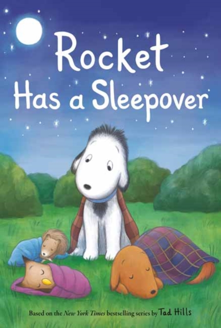 Rocket Has a Sleepover, Paperback / softback Book