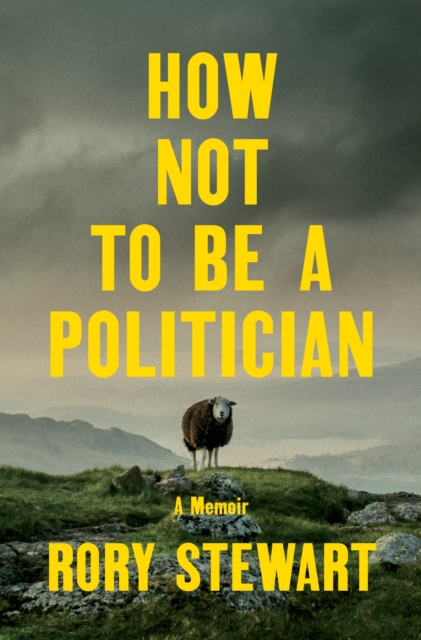 How Not to Be a Politician, EPUB eBook