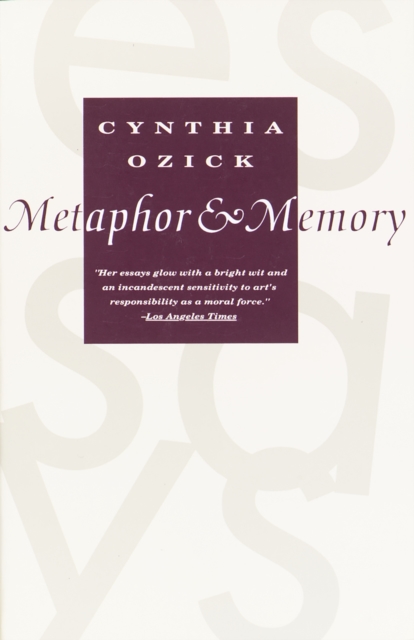Metaphor & Memory, EPUB eBook