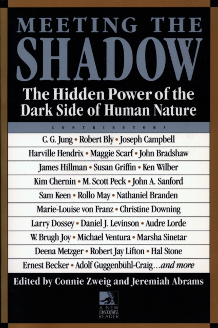 Meeting the Shadow, EPUB eBook