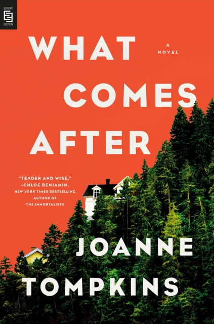 What Comes After, Paperback / softback Book