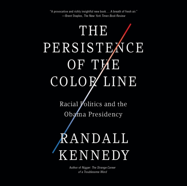 Persistence of the Color Line, eAudiobook MP3 eaudioBook