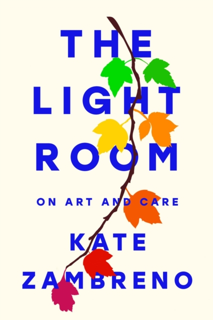 The Light Room, Hardback Book