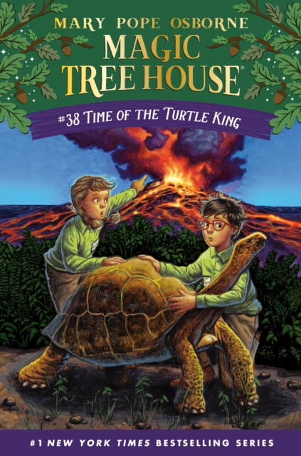 Time of the Turtle King, EPUB eBook