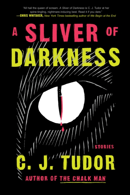 Sliver of Darkness, EPUB eBook