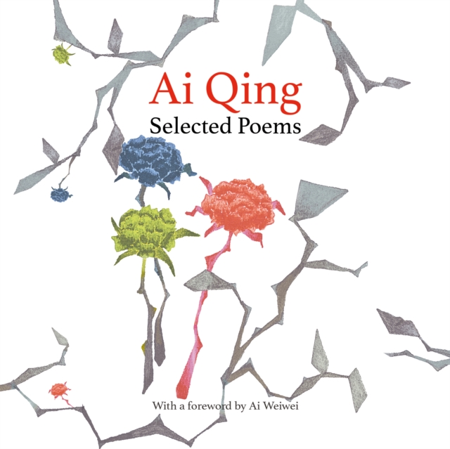 Selected Poems, eAudiobook MP3 eaudioBook