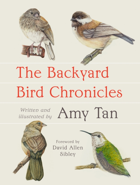 Backyard Bird Chronicles, EPUB eBook
