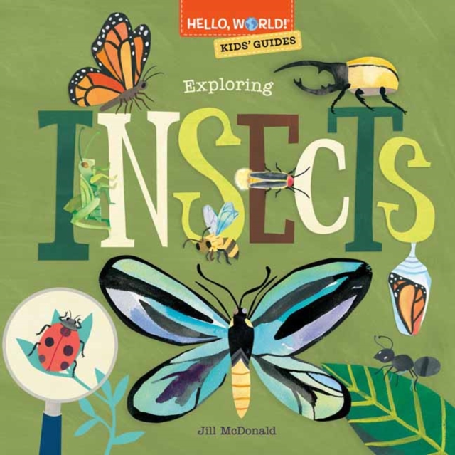 Hello, World! Kids' Guides: Exploring Insects, Hardback Book