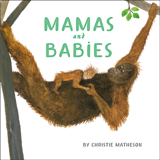 Mamas and Babies, Hardback Book