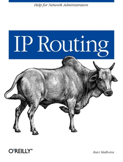 IP Routing, Paperback / softback Book