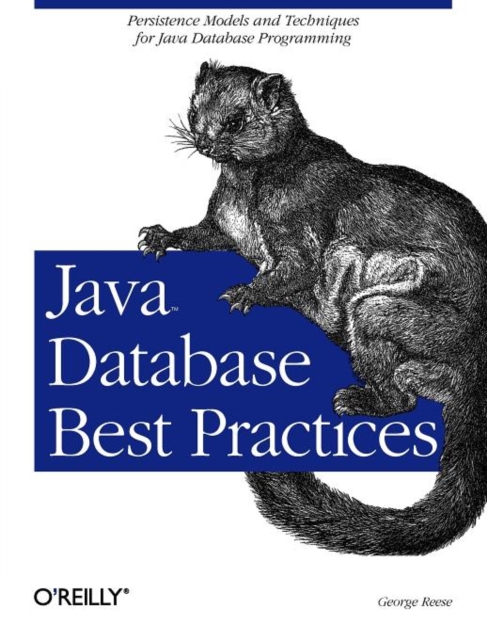 Java Database Best Practices, Paperback / softback Book