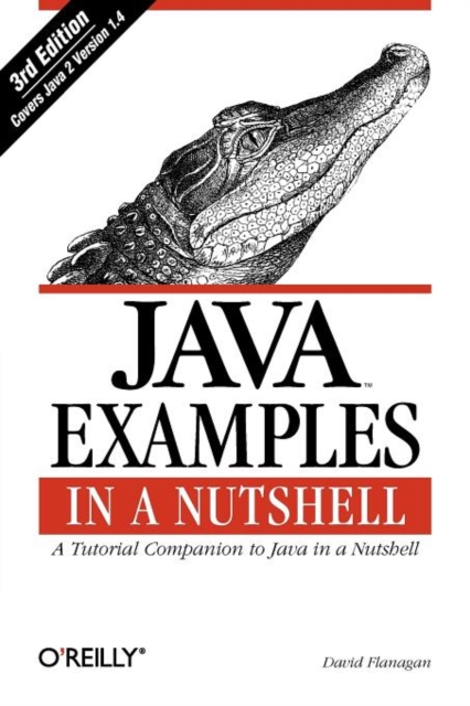 Java Examples in a Nutshell, Paperback / softback Book