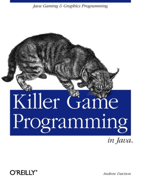Killer Game Programming in Java, Paperback / softback Book